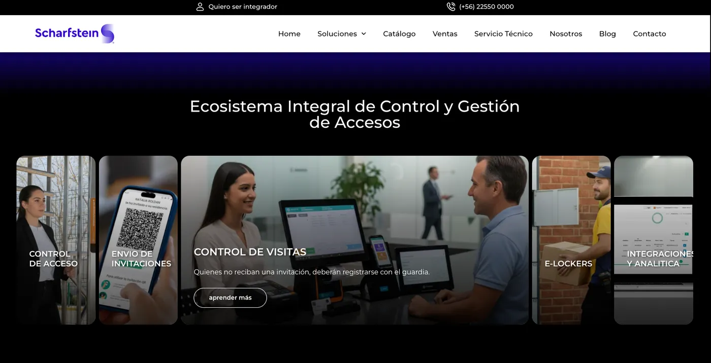 Imagen del proyecto Scharfstein